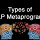 types of nlp metaprograms